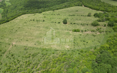 For Sale Land Bazaleti Dusheti Mtskheta   Mtianeti