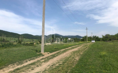 For Sale Country Land, in Saguramo