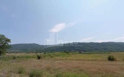 For Sale Land Bichnigauri Dusheti Mtskheta   Mtianeti