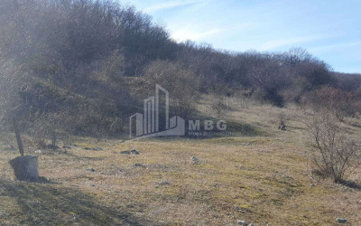 For Sale Country Land, in Tserovani