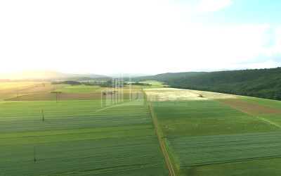 For Sale Land Dusheti Mtskheta   Mtianeti
