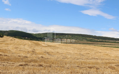 For Sale Country Land, in Borjomi