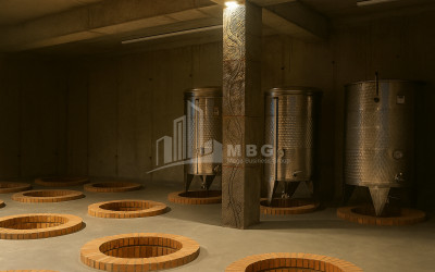 Продается Коммерческий Охио Ахмета Кахети