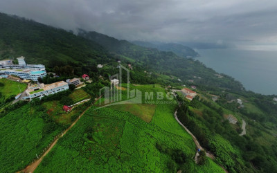 იყიდება კომერციული - არასასოფლო მიწის ნაკვეთი სარფში, ხელვაჩაური