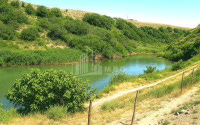 For Sale Land Gachiani Gardabani Kvemo Kartli