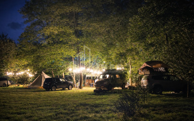 Business for sale Commercial Telavi Kakheti