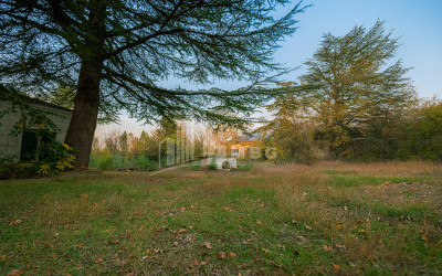 Продается Коммерческий Ахмета Кахети