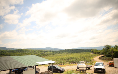 For Sale Orchards Land In Senaki