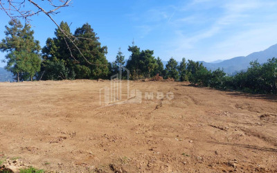 For Sale Land Sakhalvasho Kobuleti Adjara