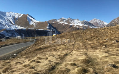 For Sale Land Akhali Gudauri Kazbegi Mtskheta   Mtianeti