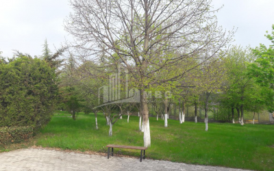 For Sale Residential Land, in Tabakhmela