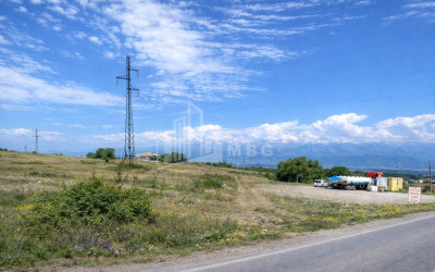 For Sale Land Telavi Kakheti