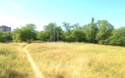 For Sale Land Poti Samegrelo   Upper Svaneti