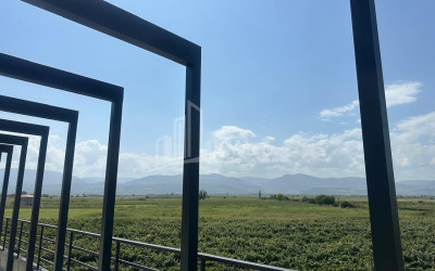 Продается Коммерческий Охио Ахмета Кахети