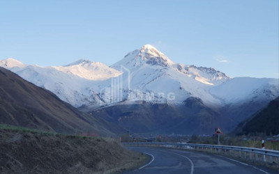 For Sale Land Daba Kazbegi Kazbegi Mtskheta   Mtianeti