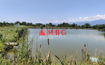 For Sale Vineyard - Chateau Land, in Telavi