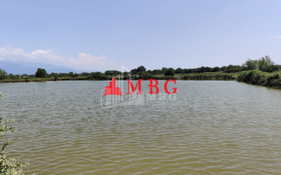 For Sale Vineyard - Chateau Land, in Telavi