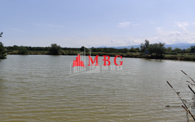 For Sale Vineyard - Chateau Land, in Telavi