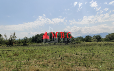 For Sale Vineyard - Chateau Land, in Telavi