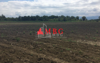 For Sale Vineyard - Chateau Land, in Telavi