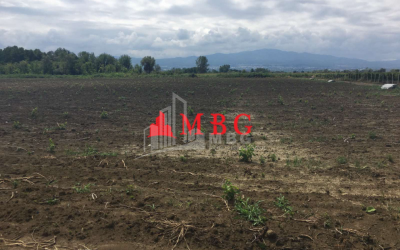 For Sale Vineyard - Chateau Land, in Telavi