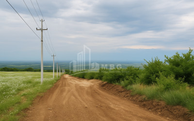 Продается Земля Телави Кахети