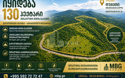 იყიდება სააგარაკე მიწის ნაკვეთი დუშეთში