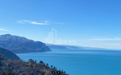 იყიდება კომერციული - არასასოფლო მიწის ნაკვეთი სარფში, ხელვაჩაური