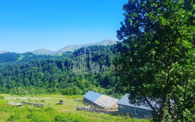 For Sale Agricultural Land, in Tsikhisjvari