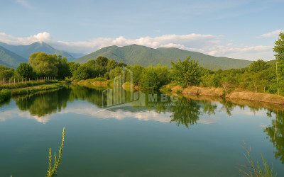 იყიდება მიწის ნაკვეთი ნაფარეული თელავი კახეთი