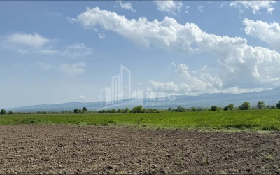 Продается Земля Напареули Телави Кахети