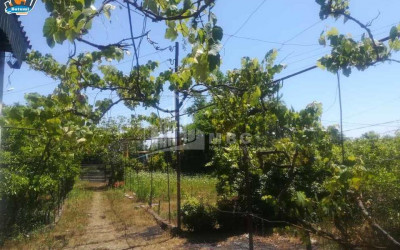 Продается Коммерческий - универсальный Земля, в Город Поти