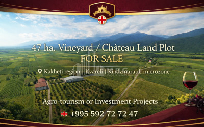 For-Sale-Land-Kvareli-Kakheti
