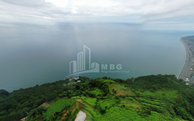 იყიდება კომერციული - არასასოფლო მიწის ნაკვეთი სარფში, ხელვაჩაური