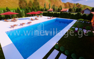 For Sale House - Villa, in Kvareli