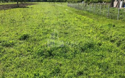 For Sale Country Land, in Easter Easter