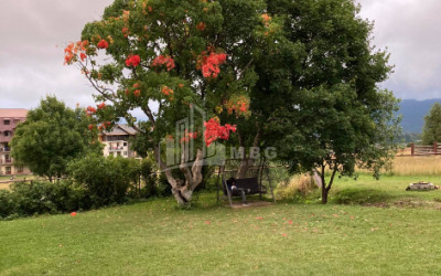 For Sale Hostel - Guesthouse Commercial In Bakuriani, Borjomi