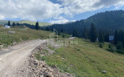 For Sale Country Land, in Khulo