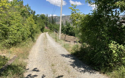 იყიდება სამოსახლო მიწის ნაკვეთი ძეგვში, მცხეთა