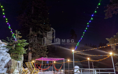 Daily Rent House - Villa, in Bakhmaro