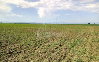 Продается Земля Марнеули Квемо Картли