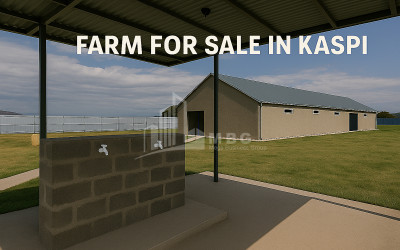 For Sale Commercial Gomi Kaspi Shida Kartli