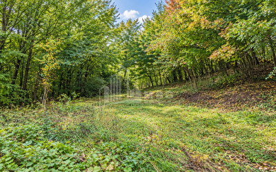 For Sale Country Land In Birtvisi Gorge, Tetritskaro