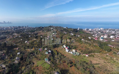 იყიდება სააგარაკე მიწის ნაკვეთი, ხელვაჩაური