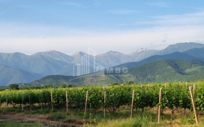 For Sale Commercial Kvareli City Kvareli Kakheti