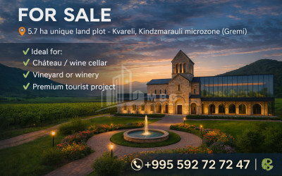 იყიდება-მიწის-ნაკვეთი-გრემი-ყვარელი-კახეთი