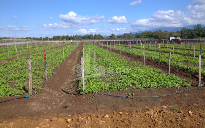 For Sale Land Municipalities of Guria