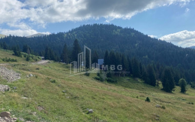 For Sale Country Land, in Khulo