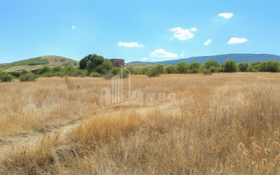 For Sale Land Telatgori Kaspi Shida Kartli