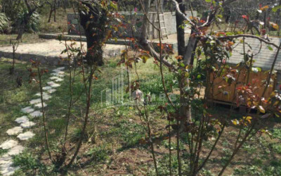 For Rent House - Villa, in Village Dighomi